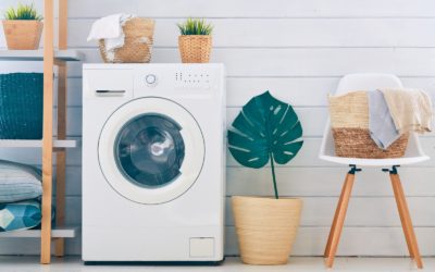 Evolution of the Appliance: The Story of the Washing Machine and Dryer